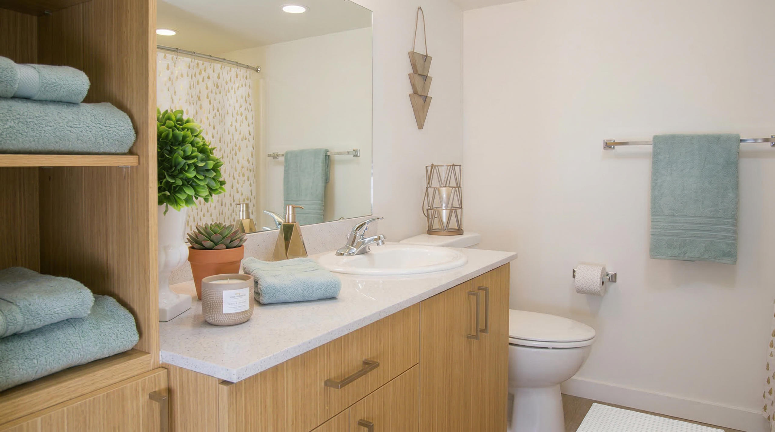 bonavista-1773185710195-2-compress